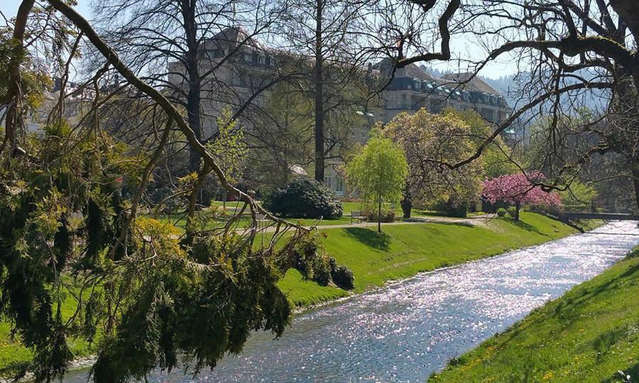 Baden-Badenspaapartment Εξωτερικό φωτογραφία